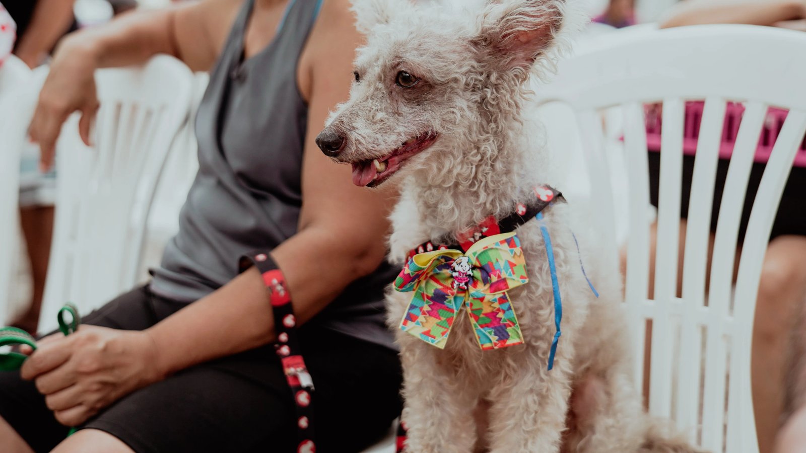 VetMóvel leva atendimento veterinário gratuito ao bairros Damas e Novo Mondubim